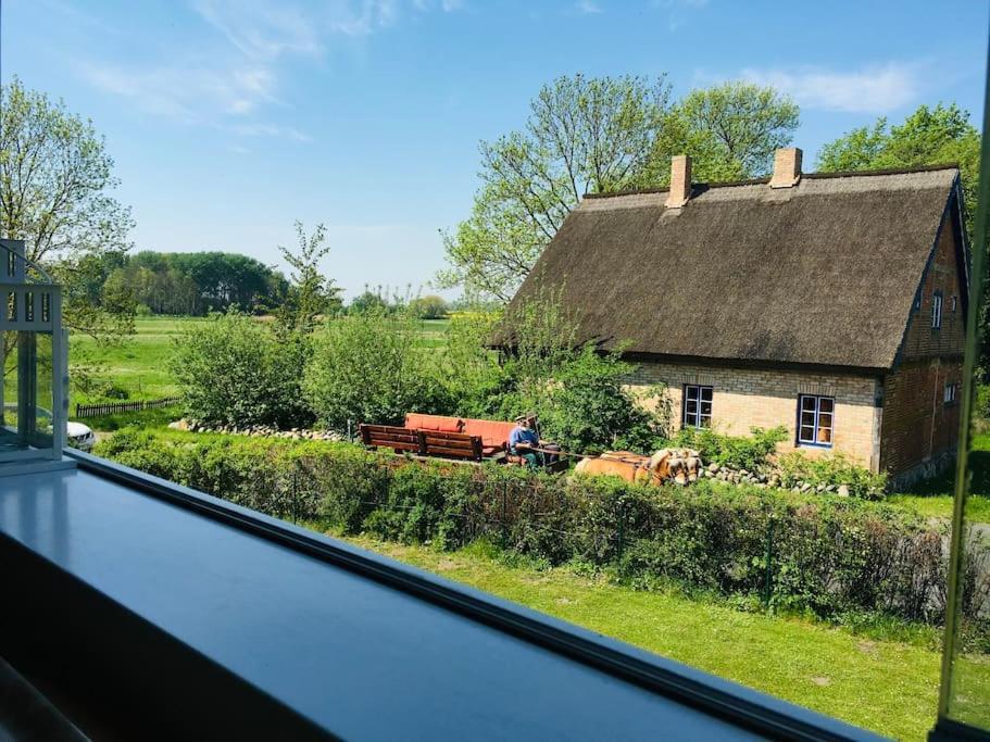 Apartamento Workation Auf Ruegen Ummanz Exterior foto